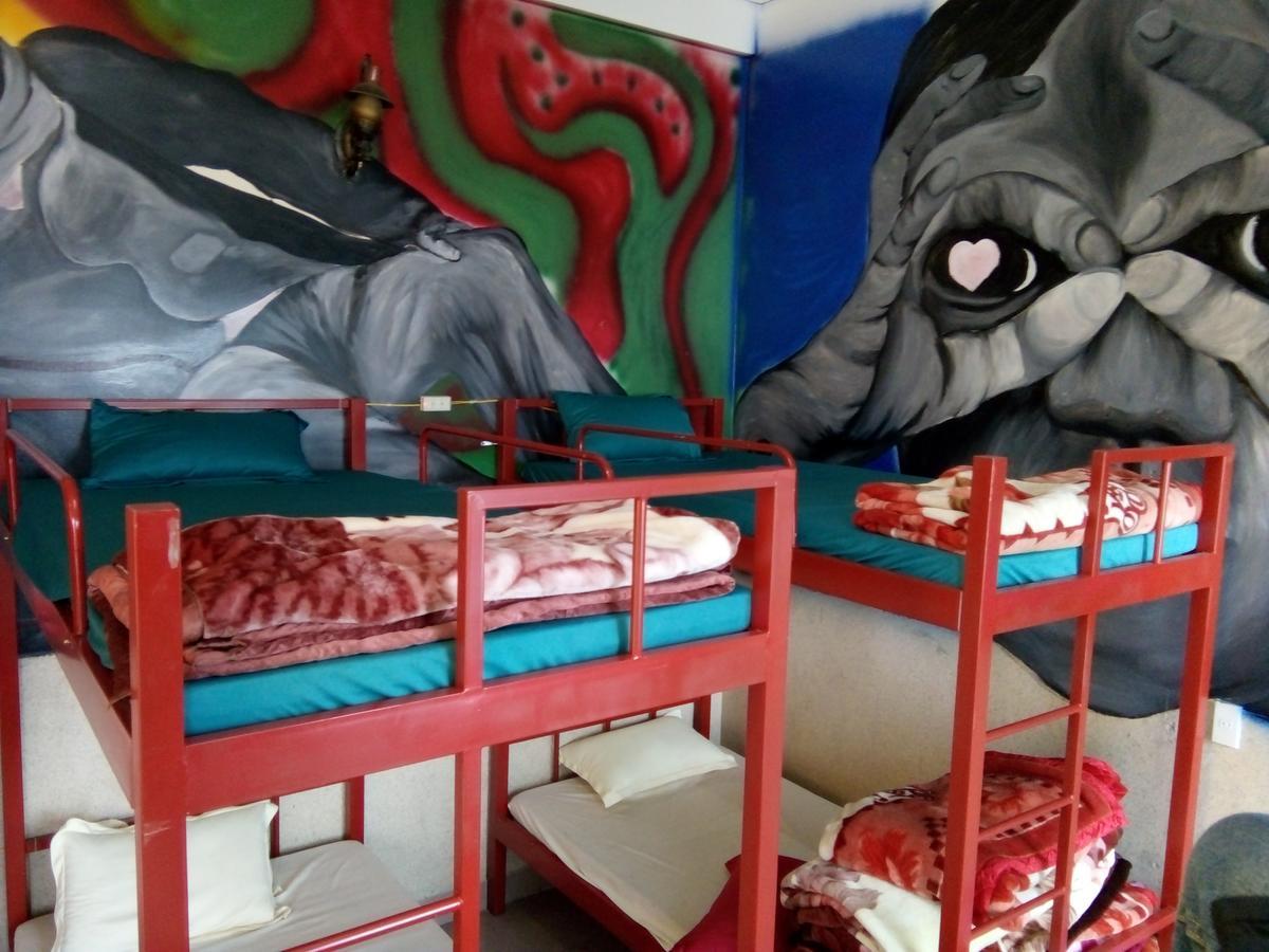 420 Homestay Dalat Đà Lạt Ngoại thất bức ảnh